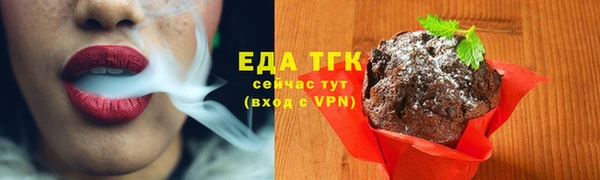 мдпв Дмитров