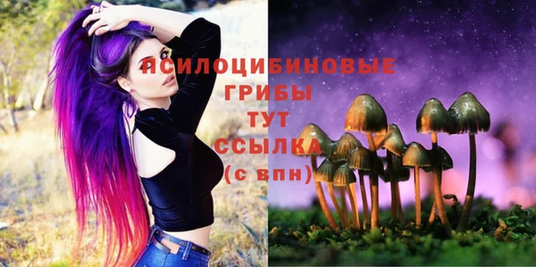спиды Дмитровск