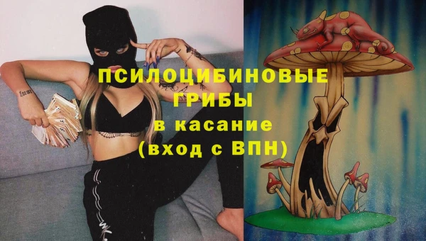 спиды Дмитровск