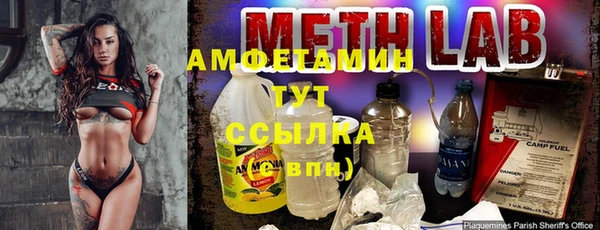 мдпв Дмитров