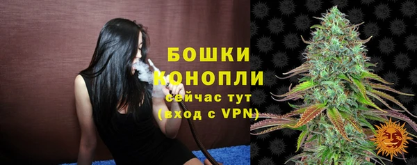 мдпв Дмитров