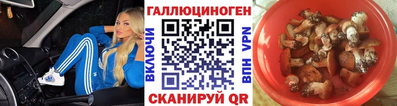 Купить закладки  Беломорск  Псилоцибиновые грибы GOLDEN TEACHER 